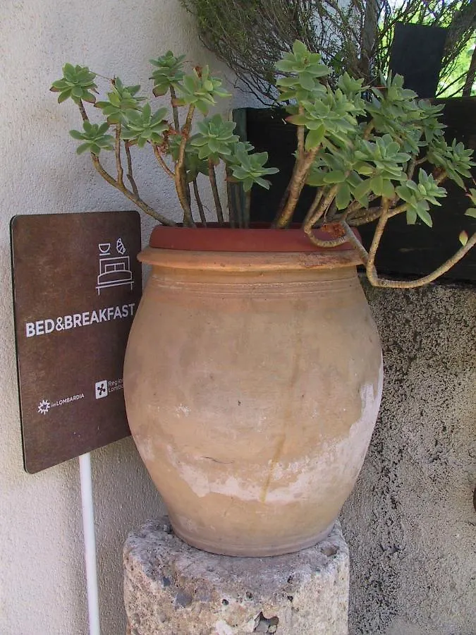 Bed & Breakfast B&B Il Rustico Turate